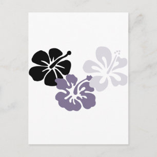 Carte Postale aloha mahalo hibiscus gris