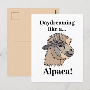 Carte Postale Alpaca Lama Animal Drôle