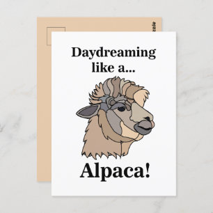 Carte Postale Alpaca Llama animal drôle