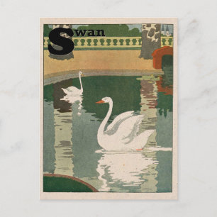 Carte Postale Alphabet cygne blanc