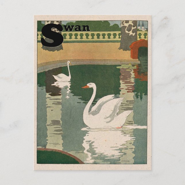 Carte Postale Alphabet cygne blanc (Devant)