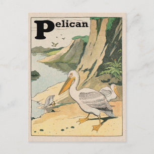 Carte Postale Alphabet pélican