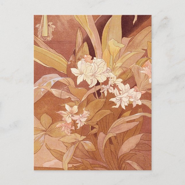 Carte Postale Alphonse Mucha Art Nouveau Détail floral (Devant)