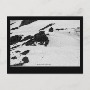 Carte Postale Alpinistes