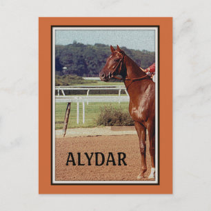 Carte Postale Alydar Belmont participe à la parade post 1978