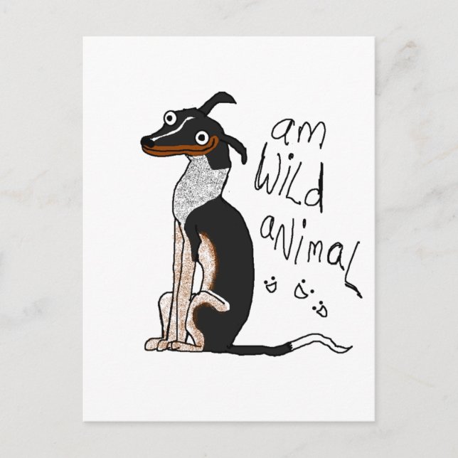 Carte Postale Am Wild Animal (Devant)