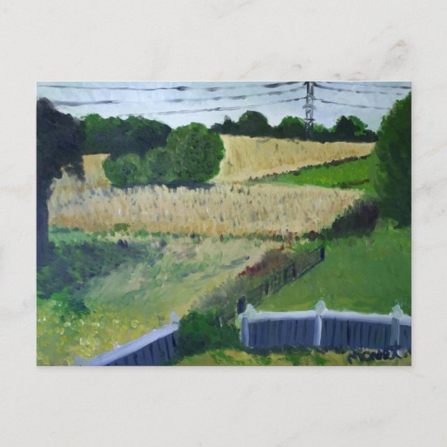 Carte Postale Amagansett Field (Devant)
