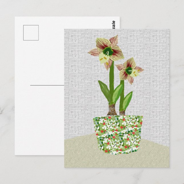 Carte postale Amaryllis (Devant / Derrière)