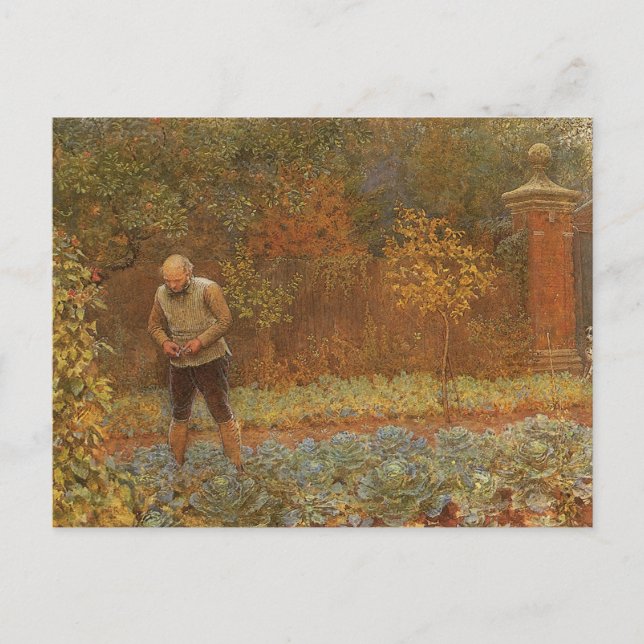 Carte Postale Amateur (Coachman & Cabbages) par Frederick Walker (Devant)