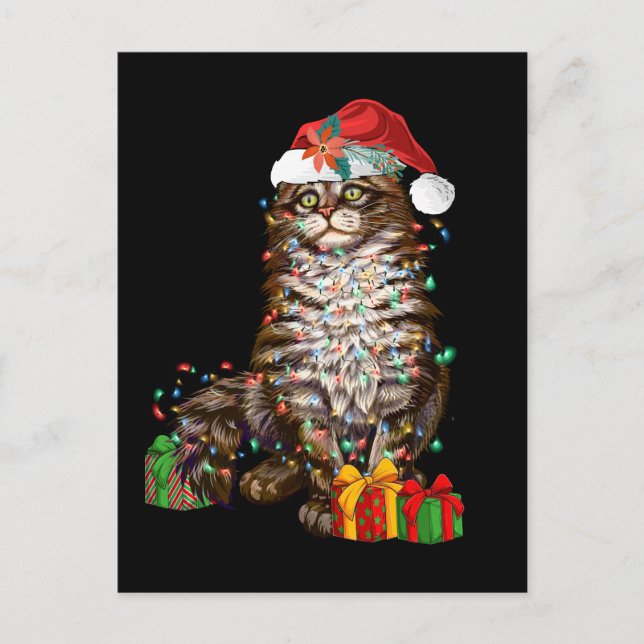 Carte Postale Amateur de chat de Noël drôle de chaton de Noël (Devant)