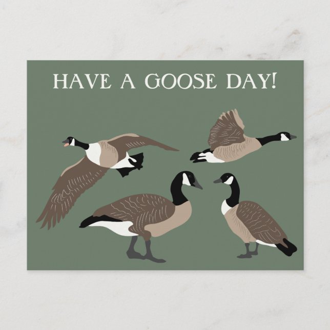 Carte Postale Amateurs d'oiseaux Canada Oies Illustration person (Devant)