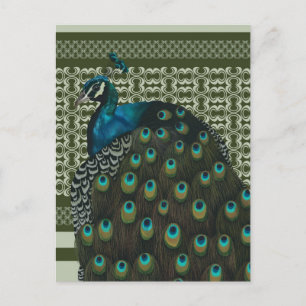 Carte Postale Amateurs d'oiseaux de paon élégant