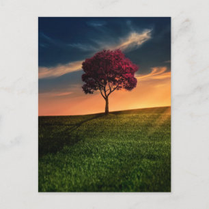 Carte Postale Amazing landscape with a Red Tree at Sunset