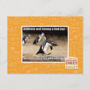 Carte Postale Ambrose passait une mauvaise journée