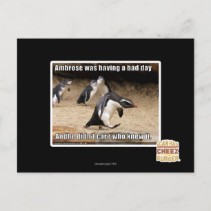 Carte Postale Ambrose passait une mauvaise journée