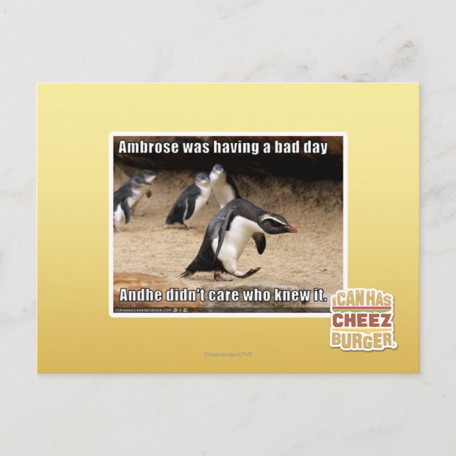 Carte Postale Ambrose passait une mauvaise journée (Devant)