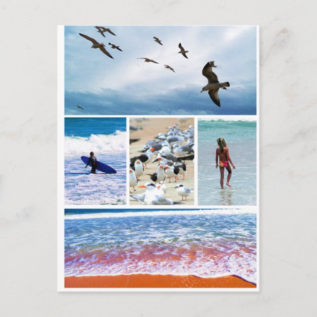 Carte postale Amelia Island Florida Seascape Photo (Devant)