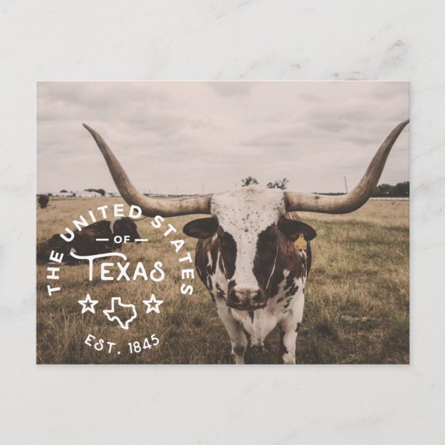 Carte postale américaine du Texas (Devant)
