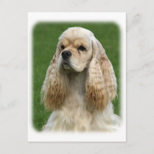 Carte Postale American Cocker Spaniel 9Y244D-035_2