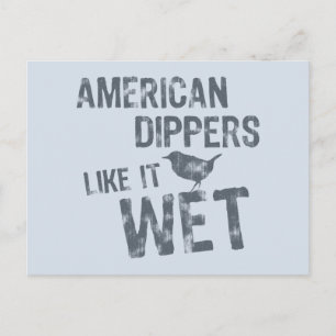 Carte Postale American Dippers Aime Ça Humide