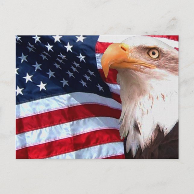 Carte postale American Eagle 6 (Devant)