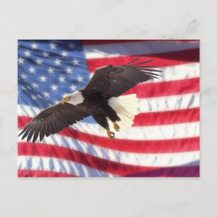 Carte Postale American Eagle and Flag Postcard