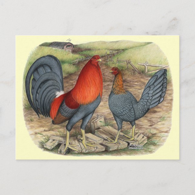 Carte Postale American Game Blue Reds (Devant)