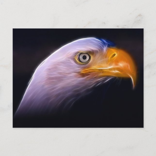 Carte Postale American Patriotic Bald Eagle, Symbole National (Devant)
