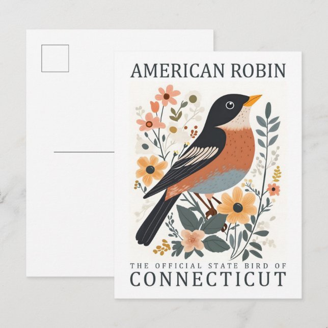 Carte Postale American Robin Bird of Connecticut USA Travel (Devant / Derrière)
