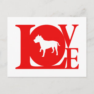 Carte Postale American Staffordshire Terrier