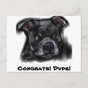 Carte Postale American Staffordshire Terrier