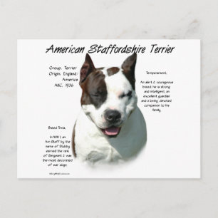 Carte Postale American Staffordshire Terrier History,