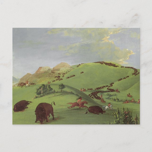 Carte Postale Amérindiens vintages, chasse à Buffalo par Catlin (Devant)