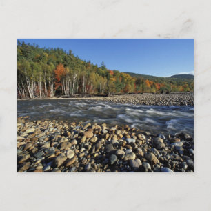 Carte Postale Amérique du Nord, États-Unis, NH, Une plage de gal