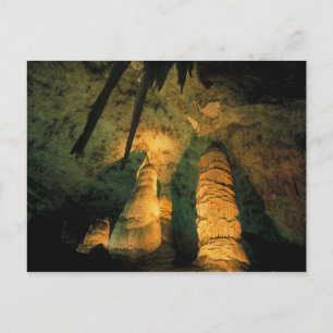 Carte Postale Amérique du Nord, États-Unis, Nouveau-Mexique, Car