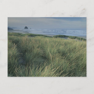 Carte Postale Amérique du Nord, États-Unis, Oregon, Canon Beach,