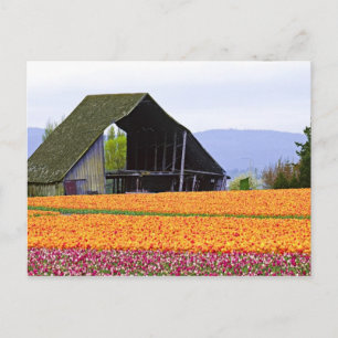 Carte Postale Amérique du Nord, États-Unis, Washington, vallée d