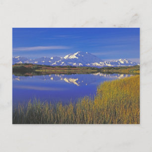 Carte Postale Amérique du Nord, USA, Alaska, Denali NP,
