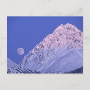 Carte Postale Amérique du Nord, USA, Alaska, Knik River,