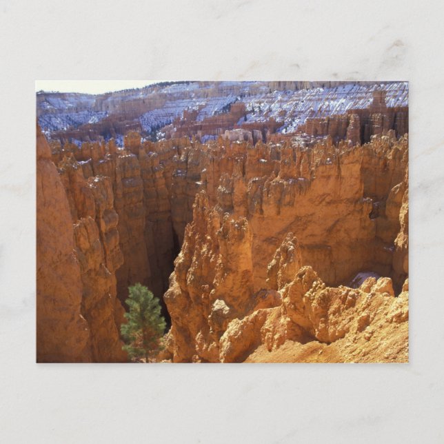 Carte Postale Amérique du Nord, USA, Utah, Bryce Canyon 2 (Devant)