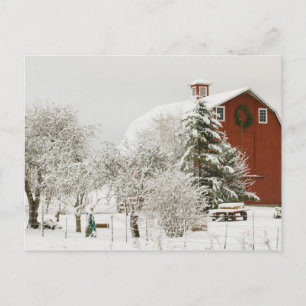 Carte Postale Amérique du Nord, USA, WA, Whidbey Island.