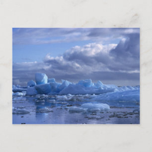 Carte Postale Amérique du Sud, Chili, San Rafael Lagoon NP.