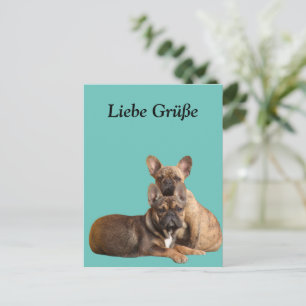 Carte Postale Amis bouledogues français Bouledogue français
