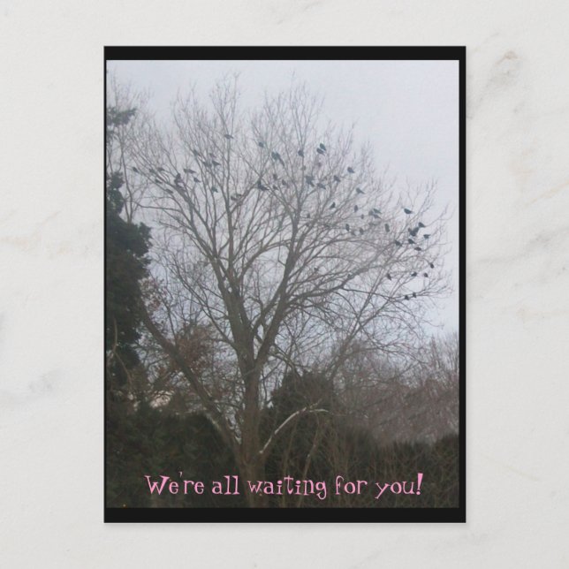 Carte Postale amis cordes (Devant)