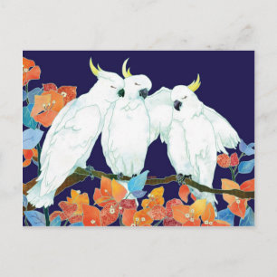 Carte Postale Amis de Cockatoo