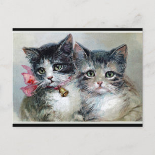 Carte Postale Amis, deux chatons mignons,