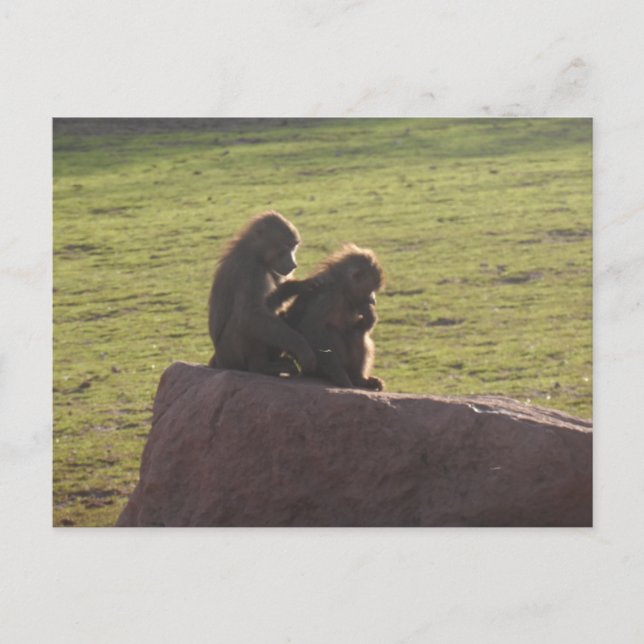 Carte Postale Amis financiers (Devant)