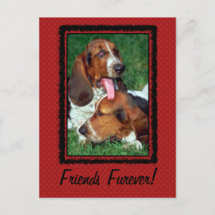 Carte Postale Amis Furever [Pour toujours]