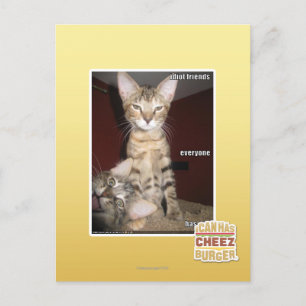 Carte Postale Amis Idiot