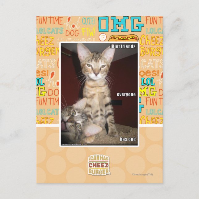 Carte Postale Amis Idiot (Devant)